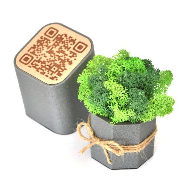 Набір кашпо Jungle з мохом і Табличка з QR-кодом NA-S-7 фото