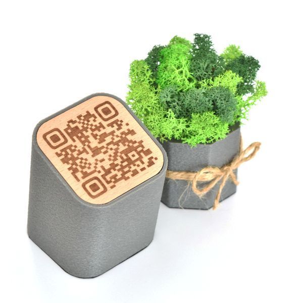 Набір кашпо Jungle з мохом і Табличка з QR-кодом NA-S-7 фото
